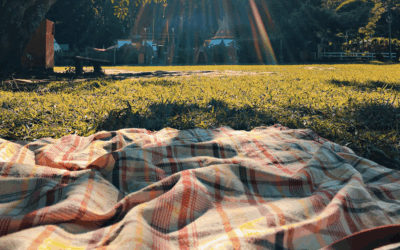 Potluck in the Park